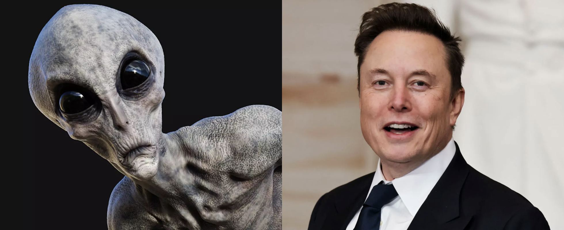 Elon Musk: With 9,000 Satellites in Orbit, We’d Have Seen Aliens by Now