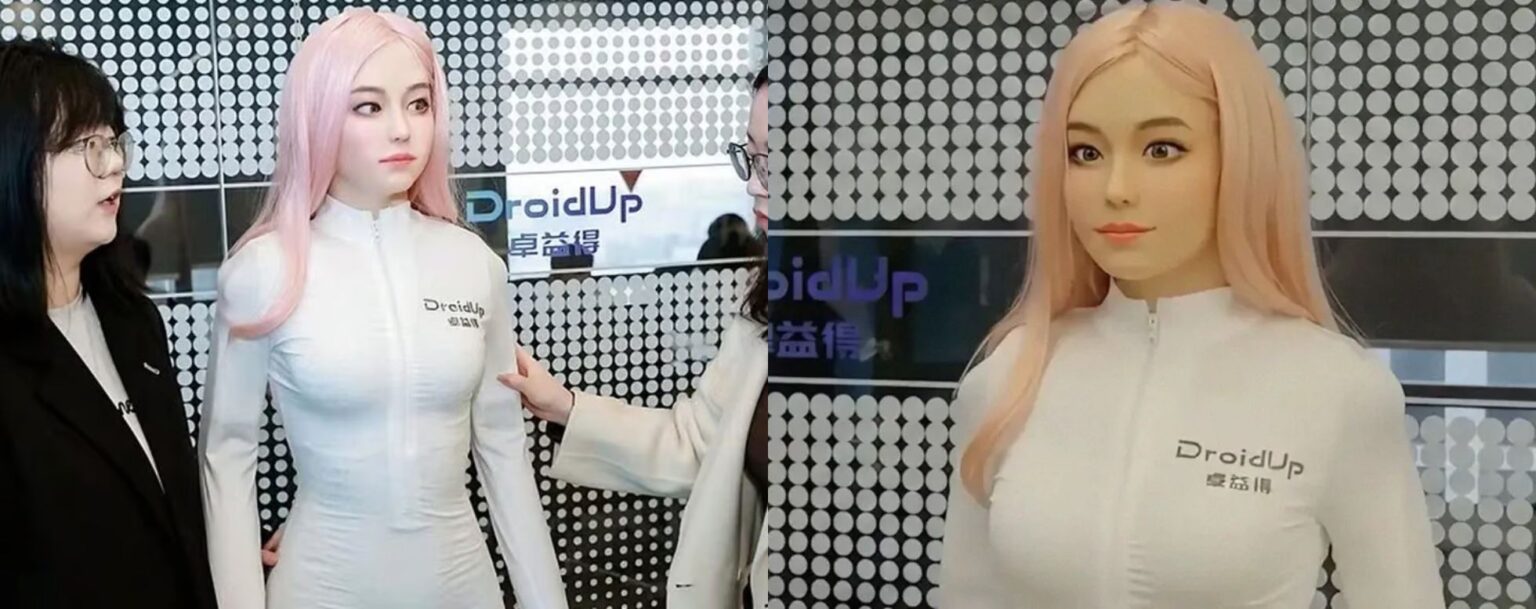 173k Robot Aims To Provide Human Companionship 173k-robot-aims-to-provide-human-companionship
